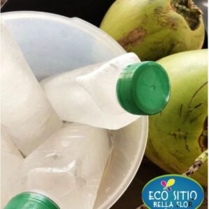 Água de Coco Orgânica 300ml