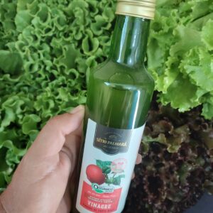 Vinagre Maça Orgânico 500ml (embalagem de vidro)