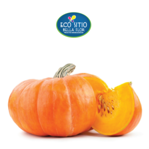 Abóbora Agroecológica 500g