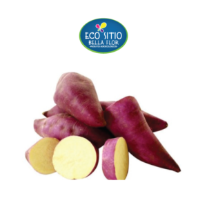 Batata Doce Orgânica Kg