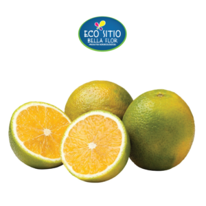 Laranja Pera Agroecológica Un