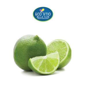 Limão Tahiti Orgânico Un