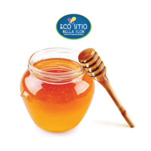MEL DE ABELHA SILVESTRE ORGÂNICO 450g - Embalagem de vidro