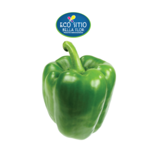 PIMENTÃO ORGÂNICO - 100g