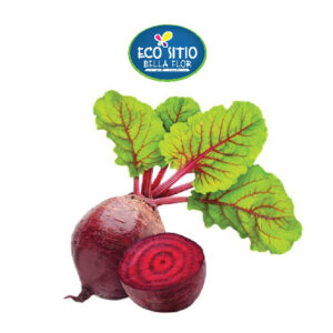 Beterraba Orgânica 500g