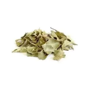ESPINHEIRA SANTA - 10g